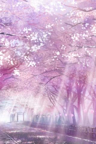 【29位】桜|春のiPhone壁紙