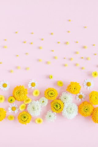 【24位】春の花|春のiPhone壁紙