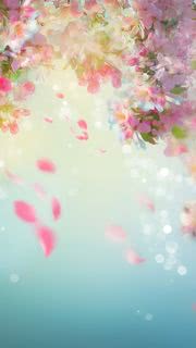【49位】春の花|春のiPhone壁紙