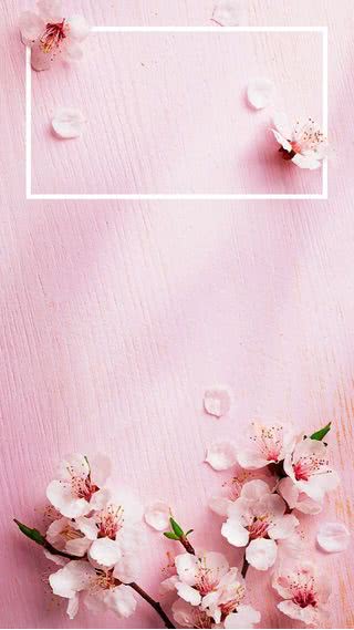 【25位】桜|春のiPhone壁紙