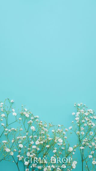 【20位】花|春のiPhone壁紙